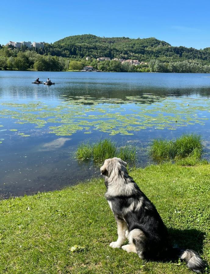Altravista Tarzo Villa Revine Lago Dış mekan fotoğraf